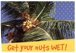 (KK 19) Get Your Nuts Wet (Avanti Card) For Wet Darwin - Darwin