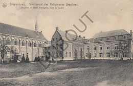DIEPENBEEK - Pensionnat Des Religieuses Ursulines -  (C515) - Diepenbeek