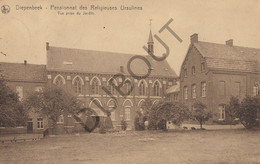 DIEPENBEEK - Pensionnat Des Religieuses Ursulines - Vue Prise Du Jardin   (C593) - Diepenbeek