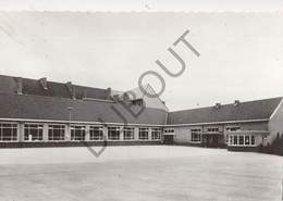 DIEPENBEEK - Sint Servatiusschool   (C521) - Diepenbeek