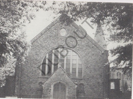 DIEPENBEEK -Kerk H. Hart - Royerheide  (C529) - Diepenbeek