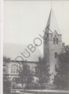 DIEPENBEEK -Kerk H. Hart - Royerheide  (C499) - Diepenbeek