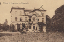 DIEPENBEEK - Château De Jongenbosch (C579) - Diepenbeek