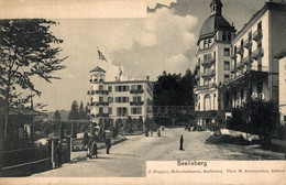 N°79488 -cpa Seelisberg - Seelisberg