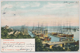 Hamburg. Port Seen From Wietzel's Hotel - Wilhemsburg