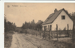 Rymenam / Rijmenam : Rue St. Jean --- 1929 - Bonheiden