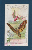 Chromo Aiguebelle 11,5 X 6.5 - Le Monde Des Insectes - Papillons - Aiguebelle