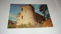 Carte Postale : Lot Et Garonne, Bon Encontre, Le Château De Castelnoubel - Bon Encontre