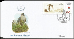 DUOSTAMP** / MYSTAMP** - FDC - BUZIN - Faucon Pèlerin / Slechtvalk / Wanderfalke - ABCP - Numéroté/Genummerd - Covers & Documents