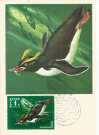 Le Manchot Huppé   (faune Antarctique)  Belle Carte-maximum - Antarktischen Tierwelt