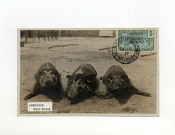 !!! KAMERUN, CARTE PHOTO CACHET TRESOR & POSTES AUX ARMEES CAMEROUN 19/5/1917 - Briefe U. Dokumente