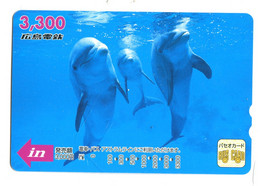 Titre De Transport Bus Card (Japon) : Dauphins - World