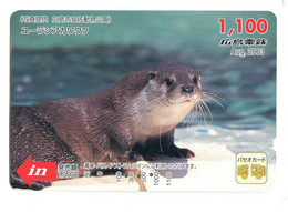 Titre De Transport Bus Card (Japon) : Loutre (??) - World