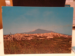 Cartolina Centuripe Panorama  Prov Enna - Enna