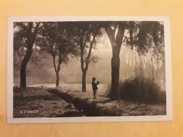 CASTETS LES LANDES LE PARC D'ADOU  PHOTOGRAPNE E.VIGNES - Castets