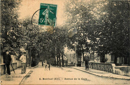Montluel * Avenue De La Gare * Pont * Villageois - Montluel