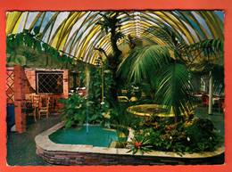CJA-39 RARE Café Florida Studen-Biel. Der Schweiz Schönstes Tropenpflanzen-Café. Gelaufen Stude 1963. Gross Format - Studen