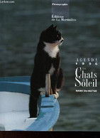 AGENDA 1996 - LES CHATS DU SOLEIL - SILVESTER HANS - 1997 - Agendas Vierges