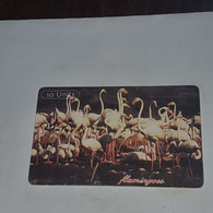 Tanzania-(TAZ-TT-12C)-flamingos-(13)-(10units)-(0010-350444)-used Card+1card Prepiad/gift Free - Tanzania