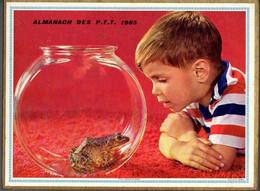 CALENDRIER GF 1965 - La Grenouille Et L'enfant Ou Les Chatons, Imprimeur Oller (calendrier Double) - Formato Grande : 1961-70