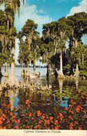 USA United States Boat Trip Cypress Gardens In FLORIDA - Otros & Sin Clasificación