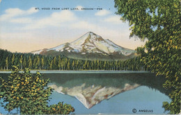USA Ca. 1940 Very Fine Mint Coloured Pc „Mt. Hood From Lost Lake, Oregon“ - Autres & Non Classés