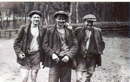 "Coal Strike, 1912" Three Pony Boys, Miners, Pit Ponies, Coal Miners' Bill [CPM Nostalgia Postcard Reproduction Card] - Grèves