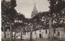 ***  40  ***   SAINT ST  VINCENT DE TYROSSE  église Et Monument Aux Morts - écrite TTB - Saint Vincent De Tyrosse