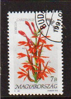 Blumen Amerikas  1994  Mi 4126 - Used Stamps