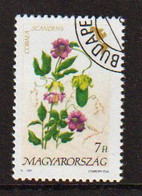 Blumen Amerikas  1994  Mi 4127 - Used Stamps