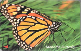 CARTE-MAGNETIQUE-VIET NAM-1999-PPILLON-MONARCH BUTTERFLY-BE-Leger Condolement - Papillons