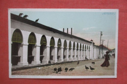 Central Market And The Buzzards   - South Carolina > Charleston  > >ref 4814 - Charleston