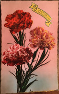 CPSM De 1957, Heureux Anniversaire, Bouquet D'oeillets,éd J.C N°973, PHOTO VERITABLE, écrite - Birthday