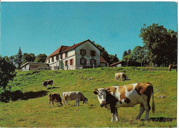 SUISSE - SAINTE CROIX - Chalet - Restaurant Du MONT DE BAULMES - Baulmes