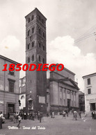 VELLETRI - TORRE DEL TRIVIO F/GRANDE  VIAGGIATA  ANIMAZIONE - Velletri