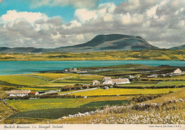 Donegal Ireland - Muckish Mountain - Size 4 X 6 - Written 1983 - Stamp Postmark - 2 Scans - Donegal