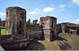 PAYS DE GALLES. Carte Postale Neuve. The Castle, Newport. - Pembrokeshire