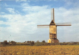 59-STEENVOORDE- MOULIN- NOORDMEULEN - Steenvoorde