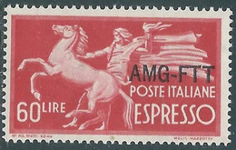 1950 TRIESTE A ESPRESSO 60 LIRE MNH ** - RE22-2 - Poste Exprèsse