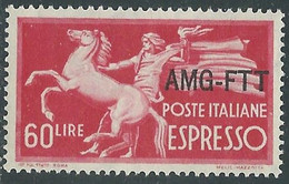 1950 TRIESTE A ESPRESSO 60 LIRE MNH ** - RE23-5 - Poste Exprèsse