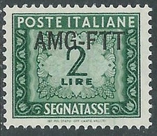 1949-54 TRIESTE A SEGNATASSE 2 LIRE MNH ** - RE10-5 - Postage Due