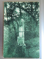 FORET DE VOUVANT MERVENT      STATUE DU PERE MONTFORT AU DESSUS DE LA GROTTE - Saint Hilaire Des Loges