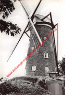 Gerangschikte Stenen Windmolen 1648 - Oelegem Ranst - Ranst