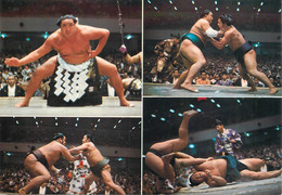 CPSM  JAPON / SUMO - Lutte