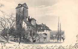 21-5894 : AARWANGEN. SCHLOSS - Aarwangen