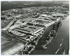 Poissy ( Seine- Et Oise ) Les Usines Simca Automobiles. - Auto's