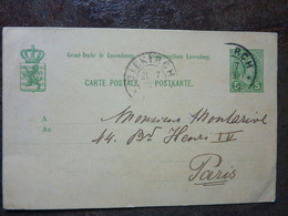 1903  Adolphe 5 Cent  Used On A Post-card - 1895 Adolfo De Perfíl