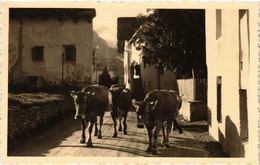 CPA AK SILS Im ENGADIN Dorfstrasse In Baseglia SWITZERLAND (705290) - Sils Im Engadin/Segl