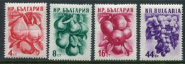 BULGARIA 1956 Fruits I MNH / **.  Michel 982-85 - Ungebraucht