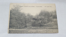 ANTIQUE POSTCARD BELGIUM OTTIGNIES - SOCIETE DU PARC D L'ETOILE - LE GRAND VALLON UNUSED - Ottignies-Louvain-la-Neuve